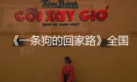 《一條狗的回家路》全國公映
