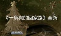 《一條狗的回家路》全新預(yù)告海報(bào)雙發(fā)
