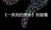 《一條狗的使命》狗眼看人