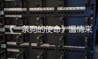《一條狗的使命》溫情來襲，麥富迪周邊狗糧熱銷【娛樂新聞】風(fēng)尚中國網(wǎng)