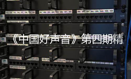 《中國好聲音》第四期精彩話題不斷，那英導師官宣退出后續節目錄制