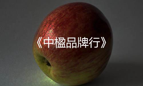 《中楹品牌行》