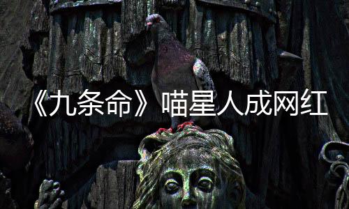 《九條命》喵星人成網紅 傲嬌毛褲先生萌化粉絲