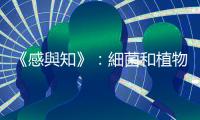 《感與知》：細菌和植物都看似沒有心智，麻醉卻能讓它們失去「意識」？
