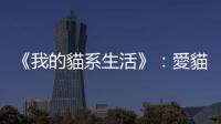 《我的貓系生活》：愛(ài)貓的男人，真的很帥！