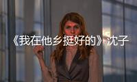 《我在他鄉(xiāng)挺好的》沈子暢最后娶了誰 沈子暢許言分手快樂