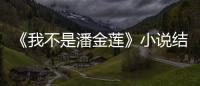 《我不是潘金蓮》小說結局怎么樣?我不是潘金蓮范冰冰結局