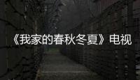 《我家的春秋冬夏》電視劇