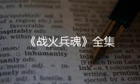 《戰(zhàn)火兵魂》全集