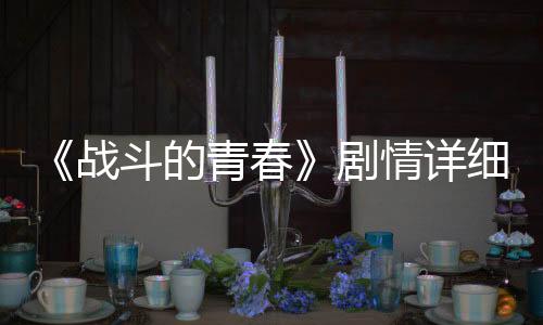 《戰(zhàn)斗的青春》劇情詳細(xì)介紹