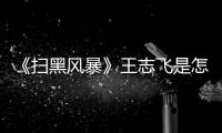 《掃黑風暴》王志飛是怎么得到行政村工程的？行政村為什么這么搶手？