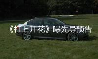 《杠上開花》曝先導預告 概念海報麻將桌暗流涌動