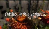 《林海》老舍（老舍的文章林海）