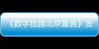 《數字絲路北京宣言》發布 將研建“一帶一路”可持續發展衛星聯盟
