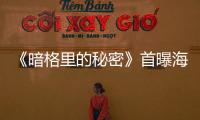 《暗格里的秘密》首曝海報 陳哲遠徐夢潔演繹“少年如風”