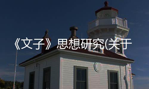 《文子》思想研究(關于《文子》思想研究簡述)