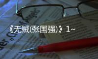 《無(wú)賊(張國(guó)強(qiáng))》1~48全集在線觀看