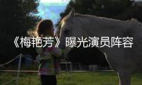 《梅艷芳》曝光演員陣容 古天樂林家棟楊千嬅實力助陣