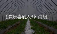 《歡樂喜劇人3》肖旭、肥龍奪得首冠  黃才倫遺憾離場