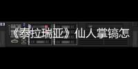 《泰拉瑞亞》仙人掌鎬怎么獲得