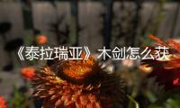 《泰拉瑞亞》木劍怎么獲得