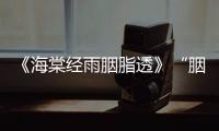 《海棠經雨胭脂透》“胭脂CP”最后走到一起了嗎？