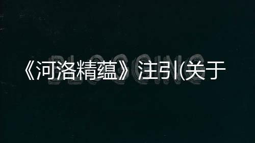 《河洛精蘊》注引(關于《河洛精蘊》注引簡述)