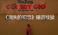 《消失的初戀》曝道枝駿佑x目黑蓮先導預告