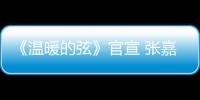 《溫暖的弦》官宣 張嘉倪梁大維首次合作演情侶