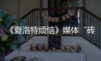 《夏洛特煩惱》媒體“磚場” 王智拍磚沈騰【娛樂新聞】風尚中國網