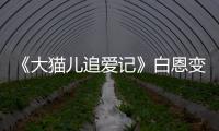 《大貓兒追愛記》白恩變陳思誠好哥們【娛樂新聞】風尚中國網