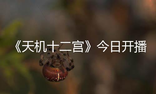 《天機十二宮》今日開播 少年純戀探案溫暖上線