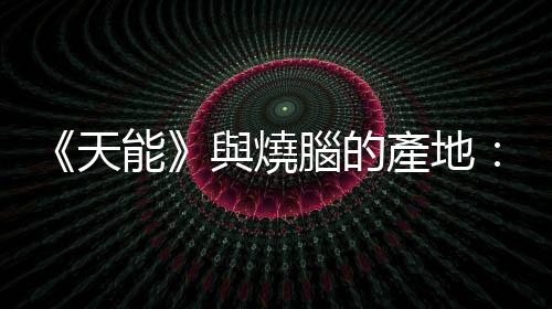 《天能》與燒腦的產(chǎn)地：「時(shí)間管理大師」諾蘭的8道難解謎題