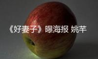 《好妻子》曝海報 姚芊羽李威情定職場【娛樂新聞】風尚中國網