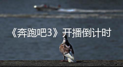 《奔跑吧3》開播倒計時3天！全員整裝待發(fā)，活力開跑