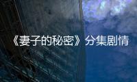 《妻子的秘密》分集劇情介紹