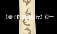 《妻子的浪漫旅行》有一種愛情叫超愛倪