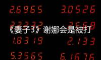 《妻子3》謝娜會是被打了表情包的女嘉賓嗎？