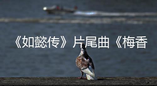 《如懿傳》片尾曲《梅香如故》驚喜曝光  毛不易X周深感動獻唱