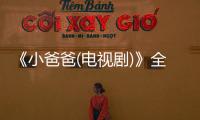 《小爸爸(電視劇)》全集(1