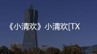 《小清歡》小清歡[TXT小說(shuō)下載]