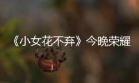 《小女花不棄》今晚榮耀收官 全員演技在線(xiàn)大獲好評(píng)