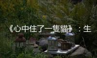 《心中住了一隻貓》：生老病死的課題，貓老師早在日常中無條件親授你
