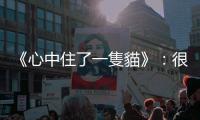 《心中住了一隻貓》：很多人都搬過家，但你一定沒幫37隻貓搬過家