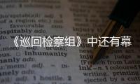 《巡回檢察組》中還有幕后黑手，黃四海因她坐牢，張一葦因她入獄