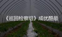 《巡回檢察組》成優酷最“賣座”劇集