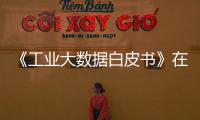 《工業大數據白皮書》在京發布