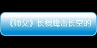 《師父》長棍鷹擊長空的效果是什么