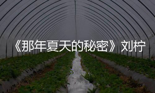 《那年夏天的秘密》劉檸昊飾演的誰？