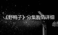 《野鴨子》分集劇情詳細(xì)介紹1
